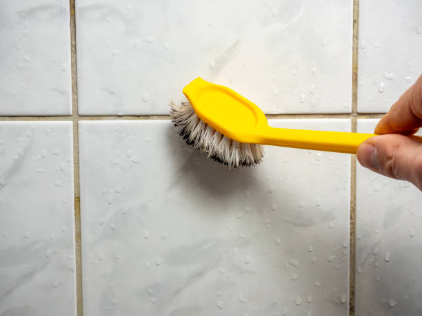 Best Mold Remediation Services  in Shelbina, MO