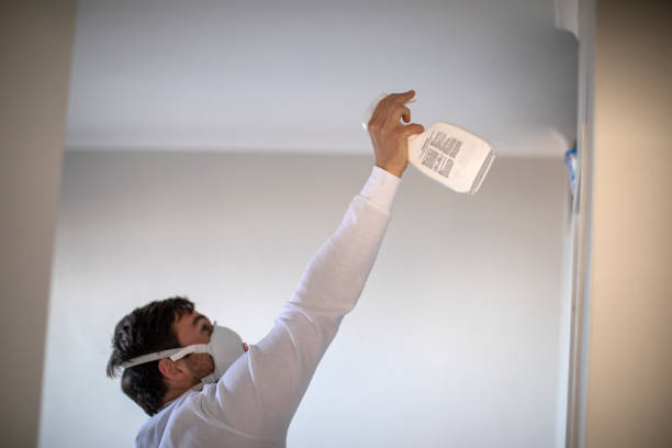 Best Certified Mold Removal  in Shelbina, MO