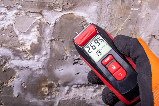 Best Professional Mold Removal  in Shelbina, MO