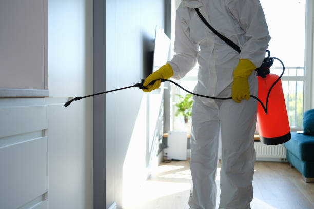 Best Office Mold Removal Services  in Shelbina, MO