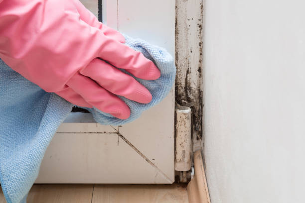 Water Damage Restoration in Shelbina, MO